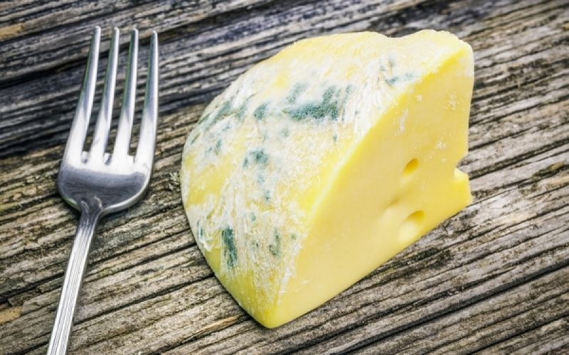 Πώς αναπτύσσεται η μούχλα στις τροφές; – Ποιες πρέπει να πετάμε οπωσδήποτε; (βίντεο)