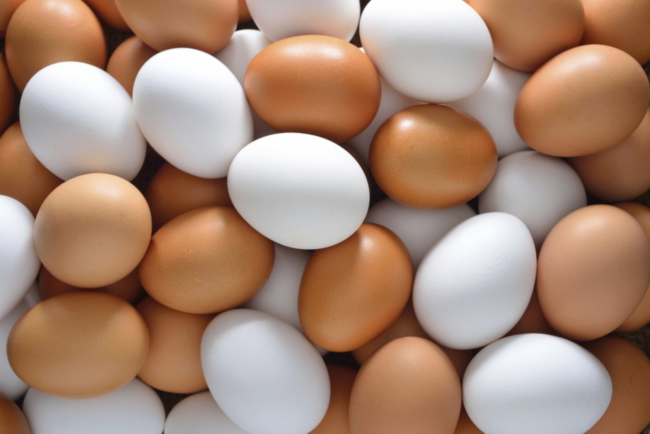 Το έξυπνο κόλπο για να καταλάβετε αν ένα αυγό είναι φρέσκο