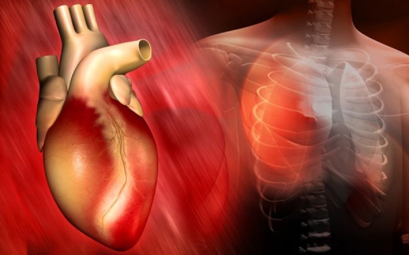 Ποιες ώρες της ημέρας αποκαθίσταται κάθε όργανο στο σώμα μας;