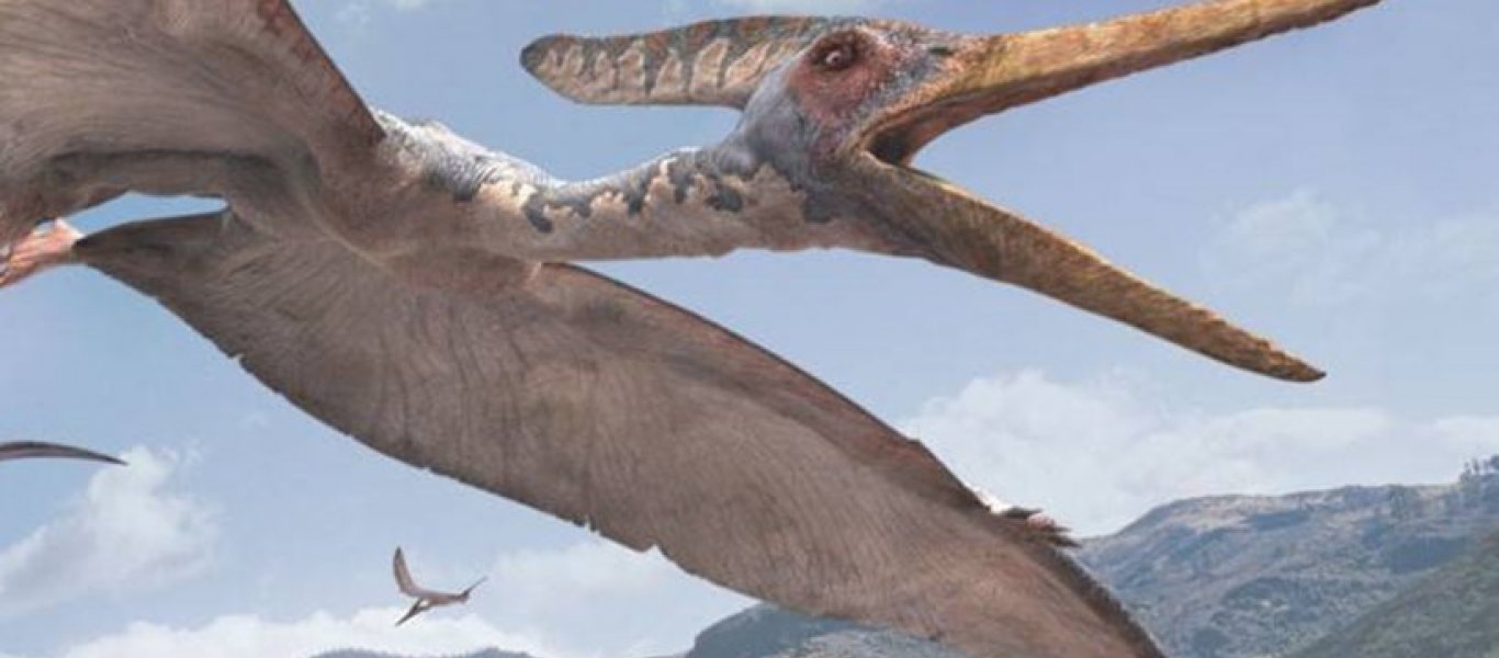 Αυστραλία: Ανακαλύφθηκε απολίθωμα πτερόσαυρου 96 εκατ. ετών – Οι επιστήμονες κάνουν λόγο για νέο είδος (φωτο)