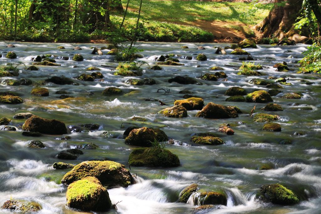 Η Νάουσα απαγορεύει τα αυτοκίνητα τις Κυριακές και «στήνει» γλέντια με πρωταγωνιστή το ξινόμαυρο κρασί