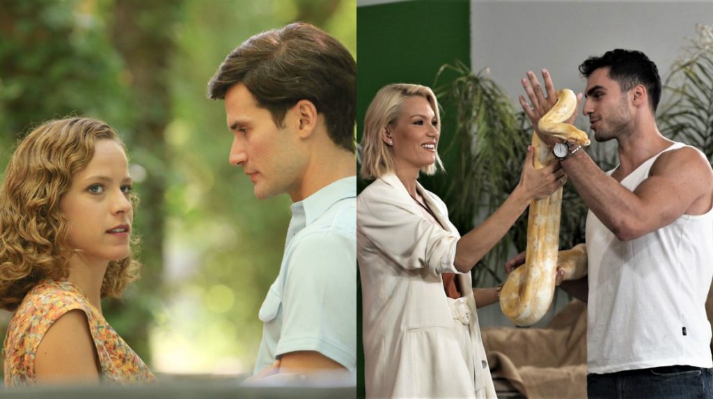 Μέλισσες εναντίον… φιδιών: Ποιος νίκησε την «μάχη» της τηλεθέασης