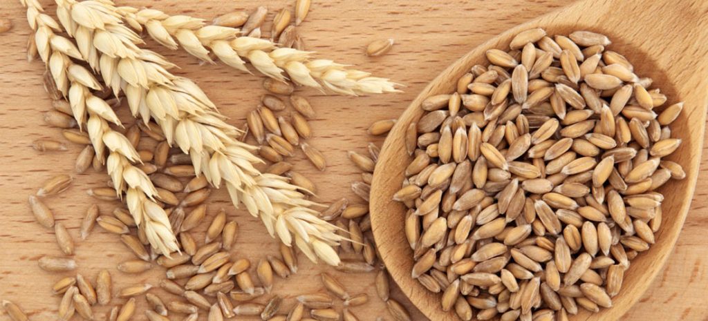 Τα φυσικά φάρμακα κατά του καρκίνου