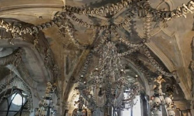 Μάζεψαν 24.000 σκελετούς για να φτιάξουν αυτήν την εικόνα (βίντεο)