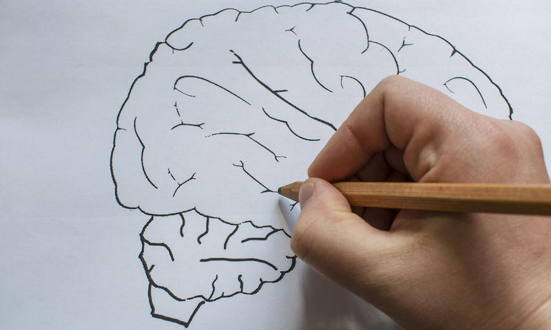 Όσο μειώνεται το εισόδημα αυξάνεται η γήρανση του εγκεφάλου