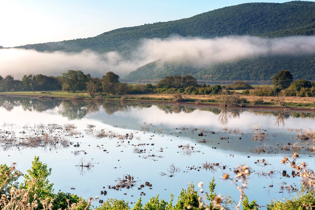 Θεσπρωτία: «Νεκροταφείο» η λίμνη με τα νούφαρα στο Έλος Καλοδικίου (φωτό)