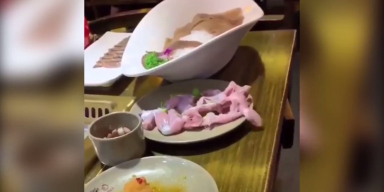 Κοτόπουλο «ζόμπι» κινείται μπροστά στα έκπληκτα μάτια πελατών εστιατορίου