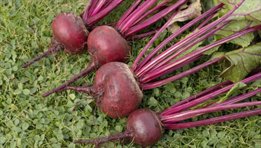 Παντζάρι: Δεν φαντάζεστε τι «μαγικές» ιδιότητες έχει