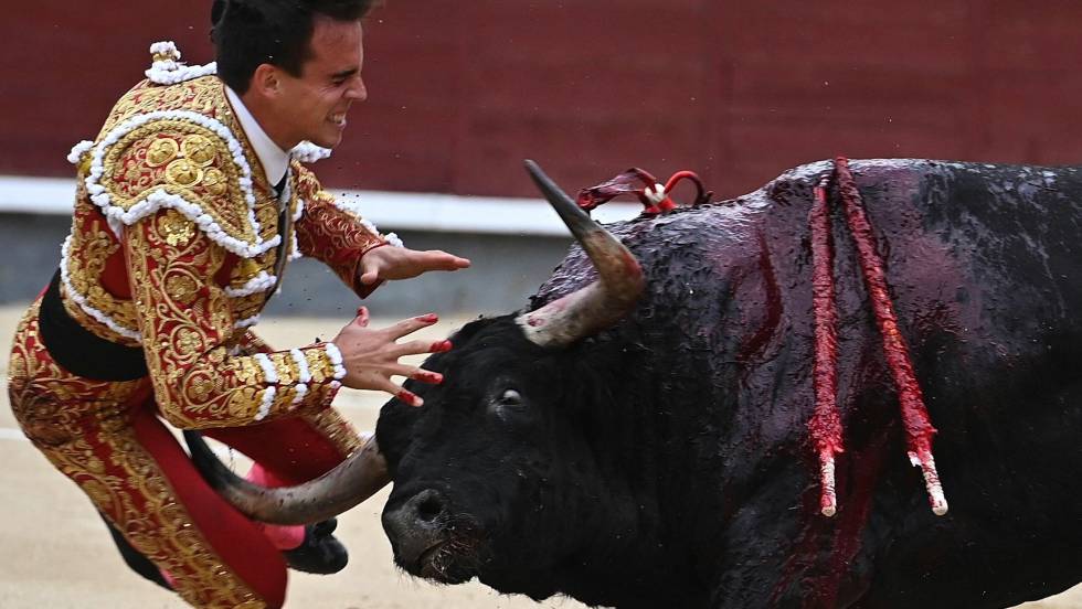 Σοκ στη Μαδρίτη: Ταύρος «ξεκοίλιασε» ταυρομάχο στην αρένα (βίντεο)