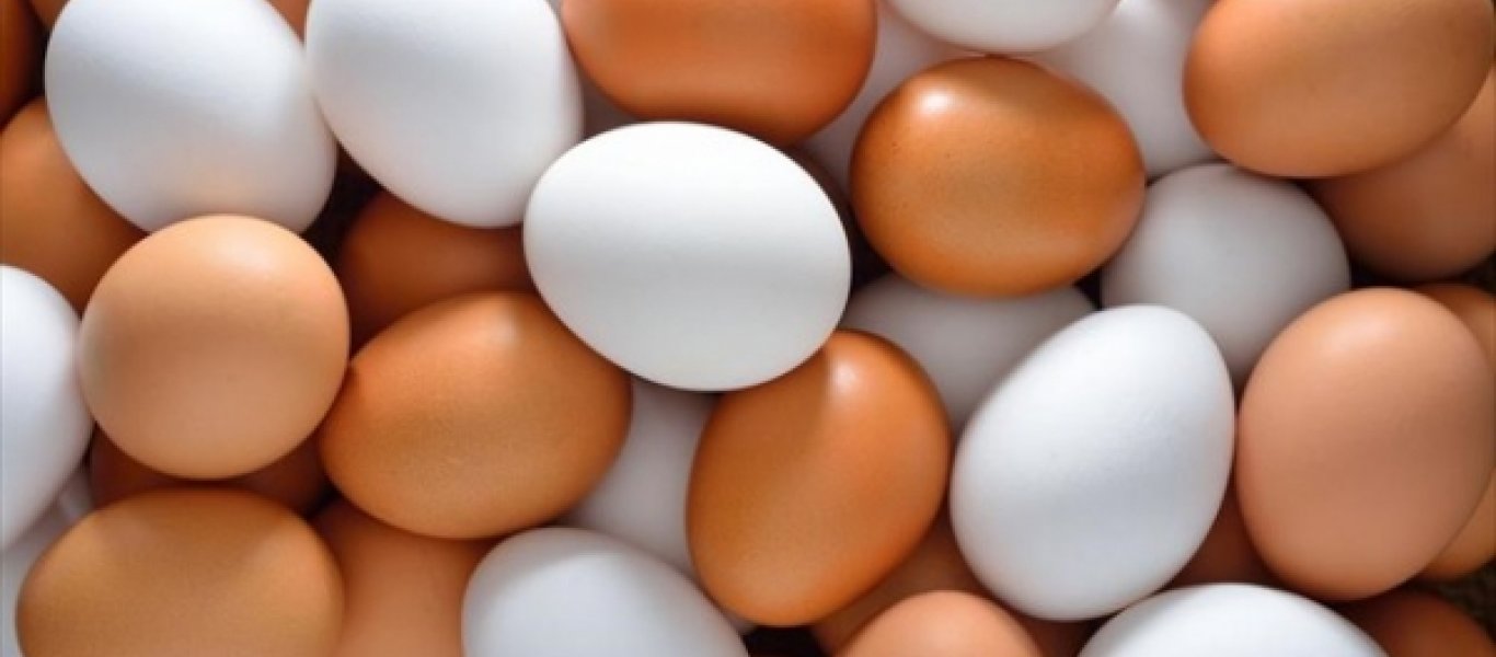 Σε τι διαφέρουν τα λευκά από τα καφέ αυγά;