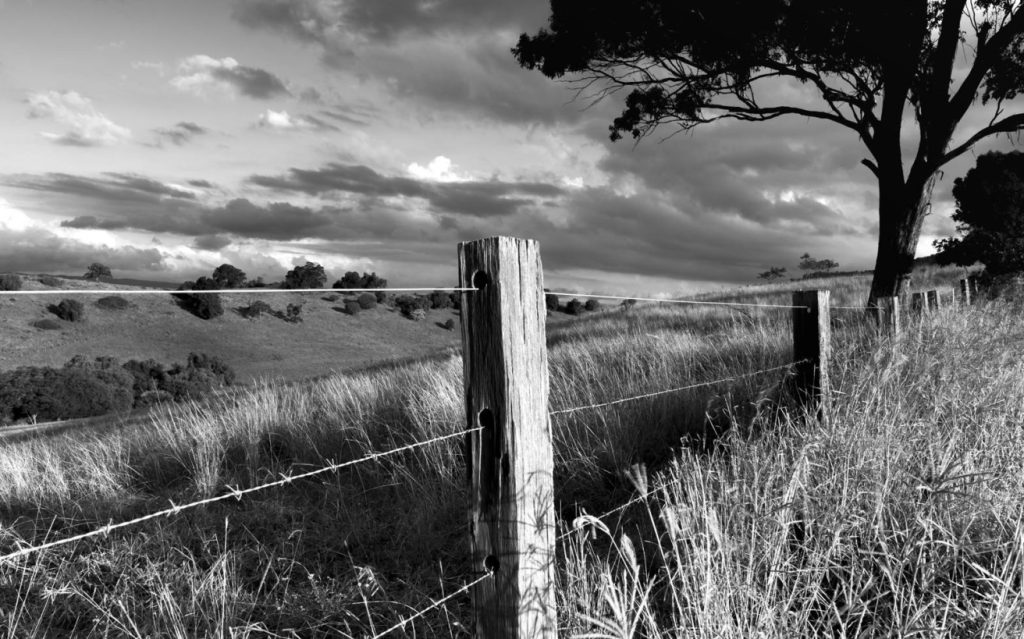 Χόρεψαν μέχρι… θανάτου: H πιο παράξενη επιδημία που υπήρξε ποτέ στον κόσμο