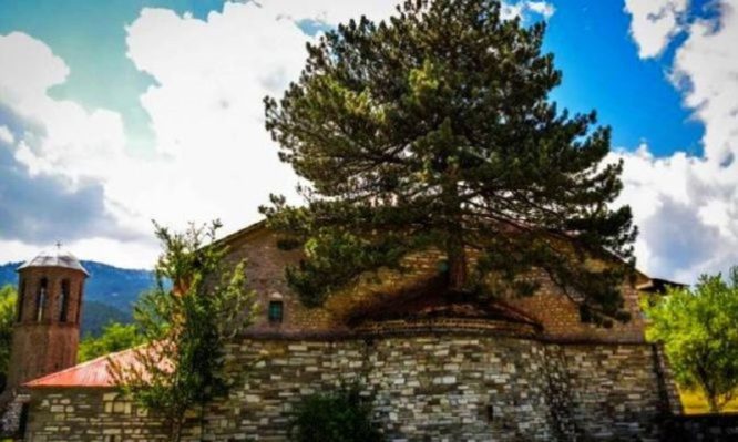 Φύτρωσε δέντρο μέσα στο ιερό εκκλησίας (φώτο)