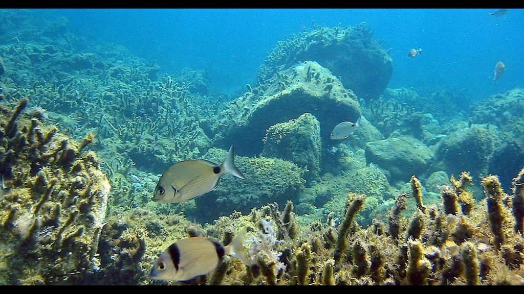 Αποκαρδιωτική η εικόνα του βυθού στη Θάσο – Δεν φαντάζεστε τι ανέσυραν (φωτο)