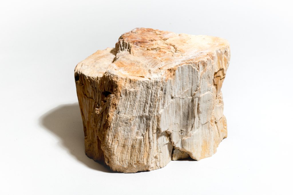 Πήρε ένα κορμό δέντρου και άρχισε να το τεμαχίζει – Δεν φαντάζεστε για ποιο λόγο (βίντεο)