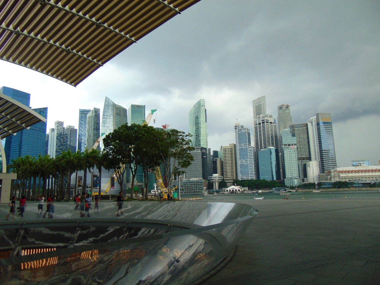 Σιγκαπούρη: Τεράστιο… αγριογούρουνο κάνει βόλτα σε εμπορικό κέντρο (φωτό)
