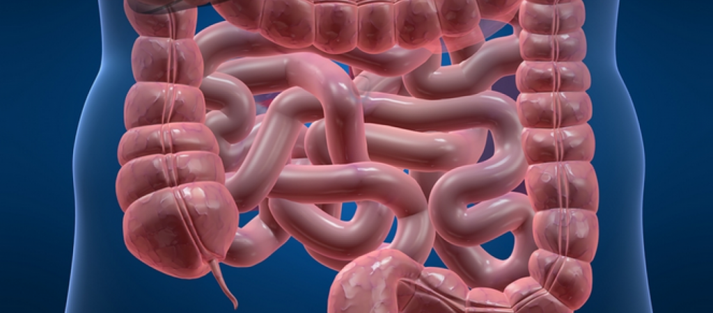 Αυτή είναι η ελληνική τροφή που θωρακίζει το έντερο και προστατεύει από την οστεοπόρωση