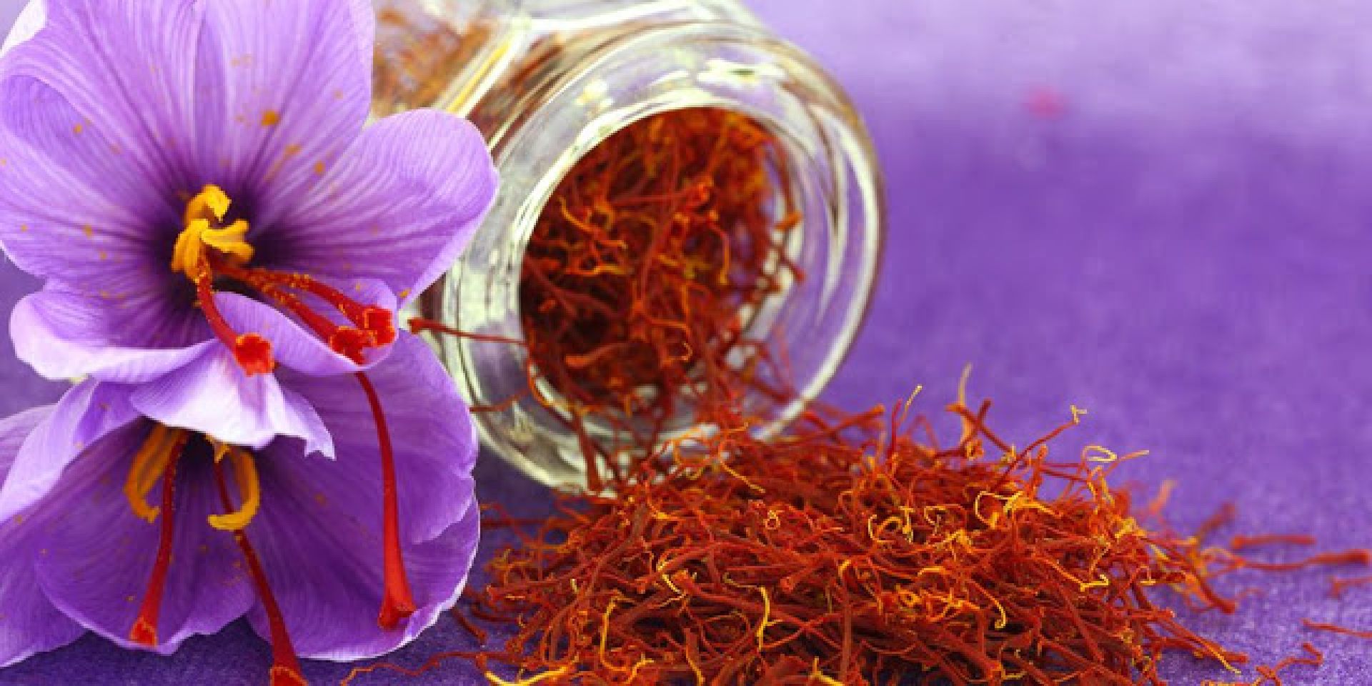 Σαφράν ή Κρόκος: Οι ανεκτίμητες ιδιότητες του «χρυσού» μπαχαρικού