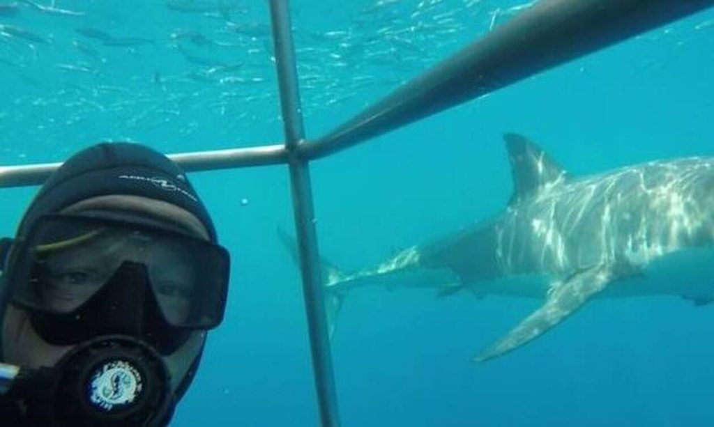 Αυτός ο δύτης είναι απλά ατρόμητος – Είχε πίσω του τεράστιο καρχαρία αλλά δεν… πτοήθηκε (βίντεο)