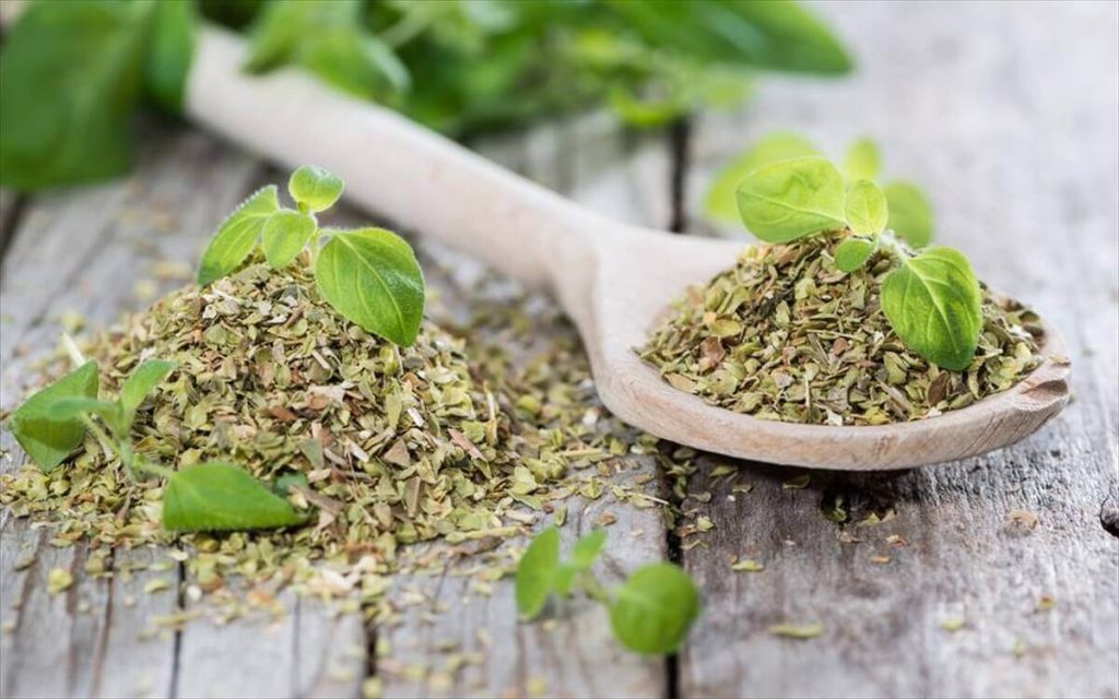 Αυτό είναι το… μυστικό που «κρύβει» η ρίγανη