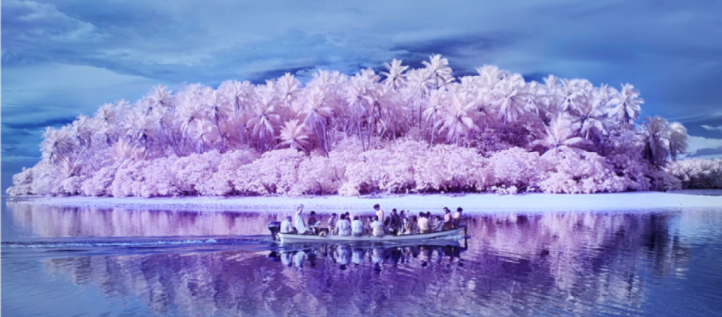 Στο νησί της αχρωματοψίας ο «παράδεισος» έχει διαφορετική απόχρωση (βίντεο)