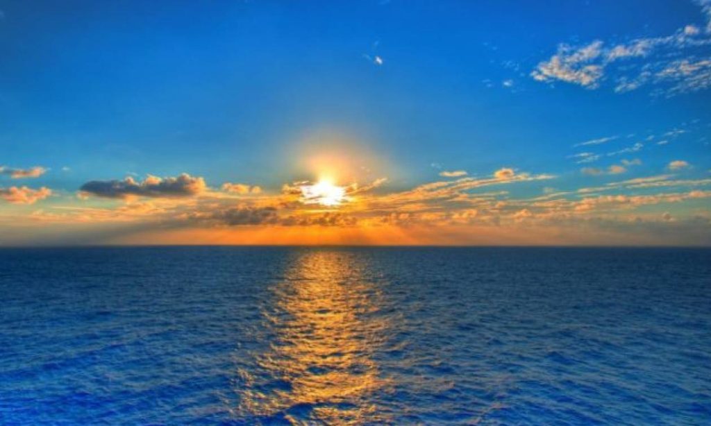 Μοναδική εμπειρία: Ένιωσαν ένα χτύπημα στο σκάφος τους και δεν πίστευαν στα μάτια τους όταν είδαν τι ήταν (βίντεο)