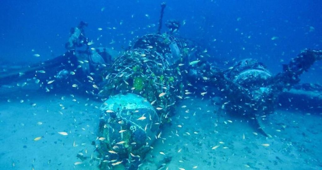 Σίφνος: Βούτηξαν στον βυθό και δεν πίστευαν αυτό που αντίκρισαν – Δείτε τι ανακάλυψαν (φωτο)