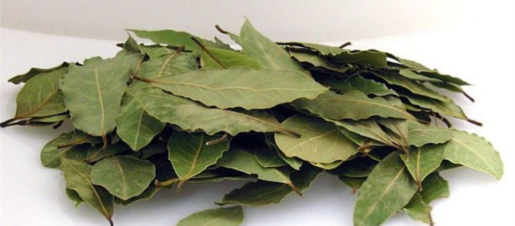 Πώς θα απαλλαγείς από το άγχος με ένα φύλλο δάφνης (βίντεο)