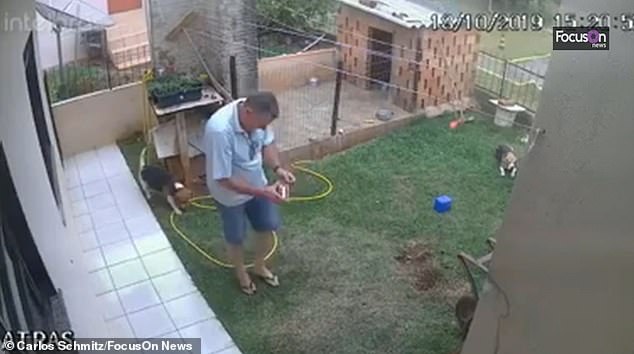 Πήγε να κάψει φωλιά από κατσαρίδες και… τίναξε τον κήπο του στον αέρα (βίντεο)