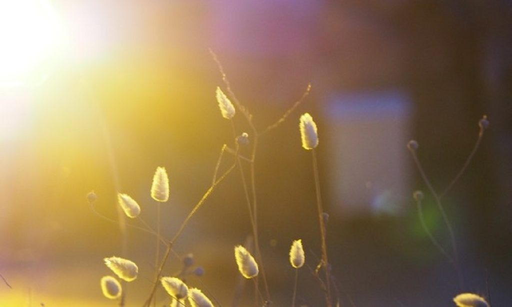 Αρχιμανδρίτης Παύλος: «Ξέσπασε στον Θεό όχι στους άλλους»