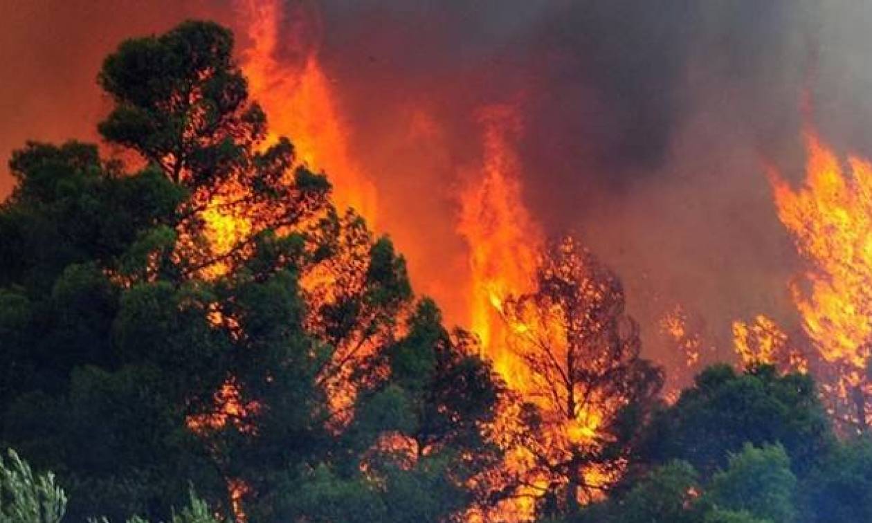 Kρήτη: Μεγάλη φωτιά κινητοποίησε τις Πυροσβεστικές δυνάμεις