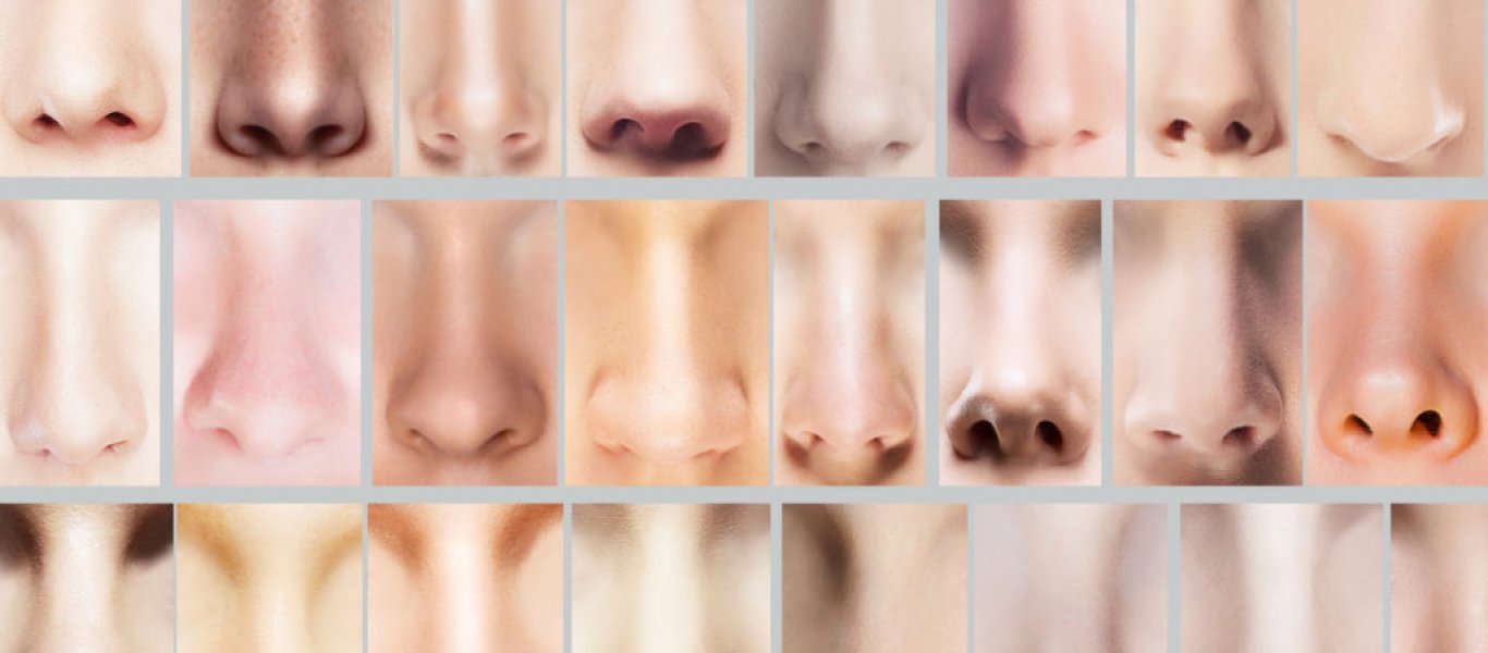 Τί αποκαλύπτει η μύτη για την προσωπικότητα ενός ανθρώπου – Ισχύει για εσάς;