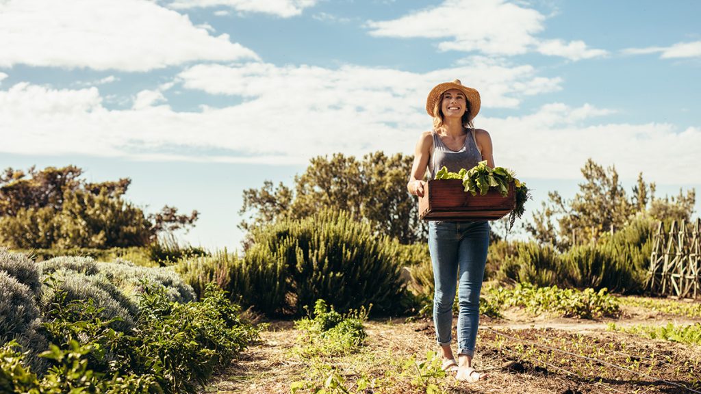 Αυτό είναι το καλύτερο αντικαταθλιπτικό χόμπι