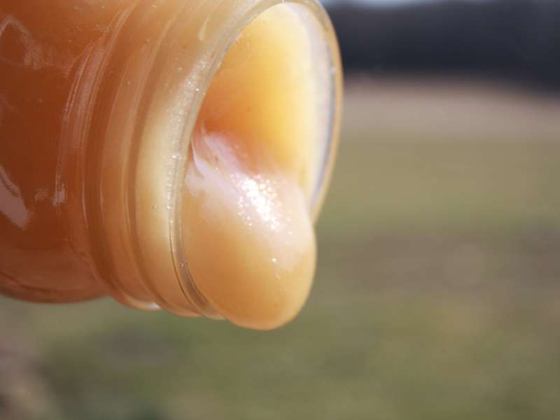 Tι πρέπει να κάνεις αν κρυσταλλώσει το μέλι;