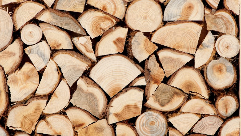 Καυσόξυλα: Ποιο είδος να επιλέξετε και τι πρέπει να προσέξετε – Οι «χρυσοί» κανόνες