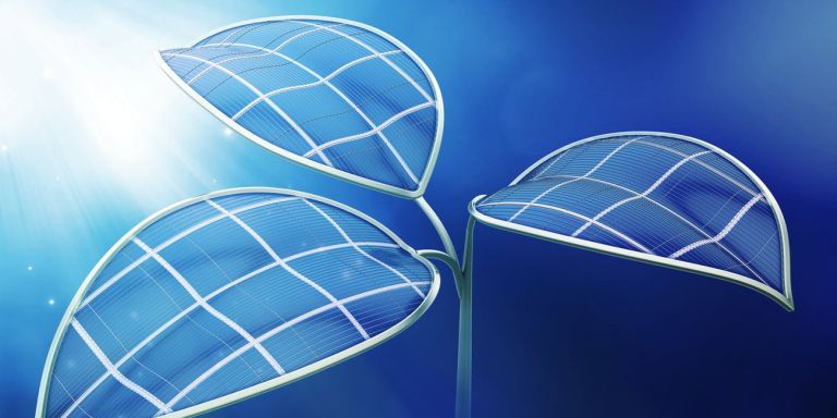 Ερευνητές έφτιαξαν «τεχνητό φύλλο» που θα βοηθήσει στη μάχη κατά της κλιματικής αλλαγής