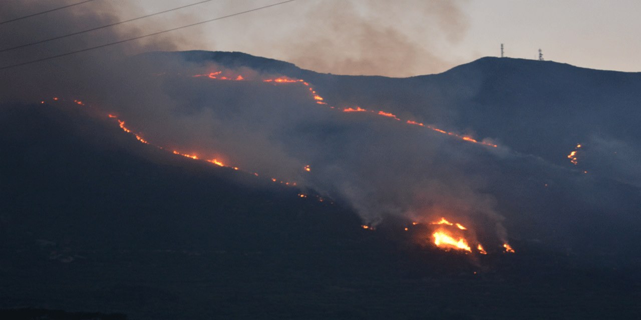 Ζάκυνθος: 7.500 στρέμματα καμένου δάσους σε 83 πυρκαγιές