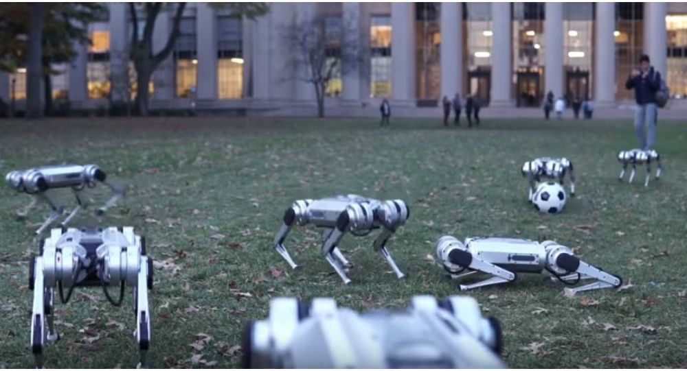 Τα ρομποτικά τσιτάχ του MIT παίζουν μπάλα στον κήπο και «ανοίγουν» νέους ορίζοντες στην τεχνολογία (βίντεο)