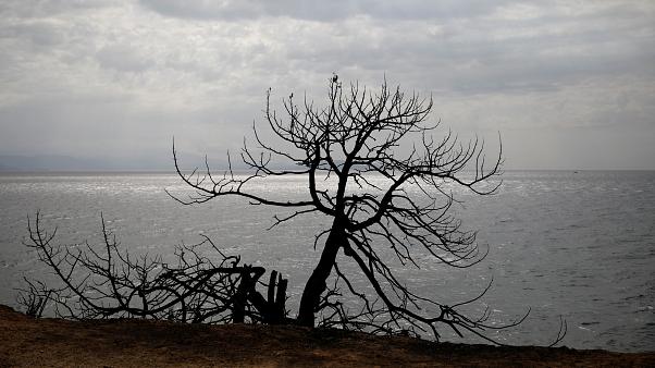 Μάτι: Στις 21 Νοεμβρίου συγκαλείται η Ολομέλεια Εφετών για τη φονική πυρκαγιά