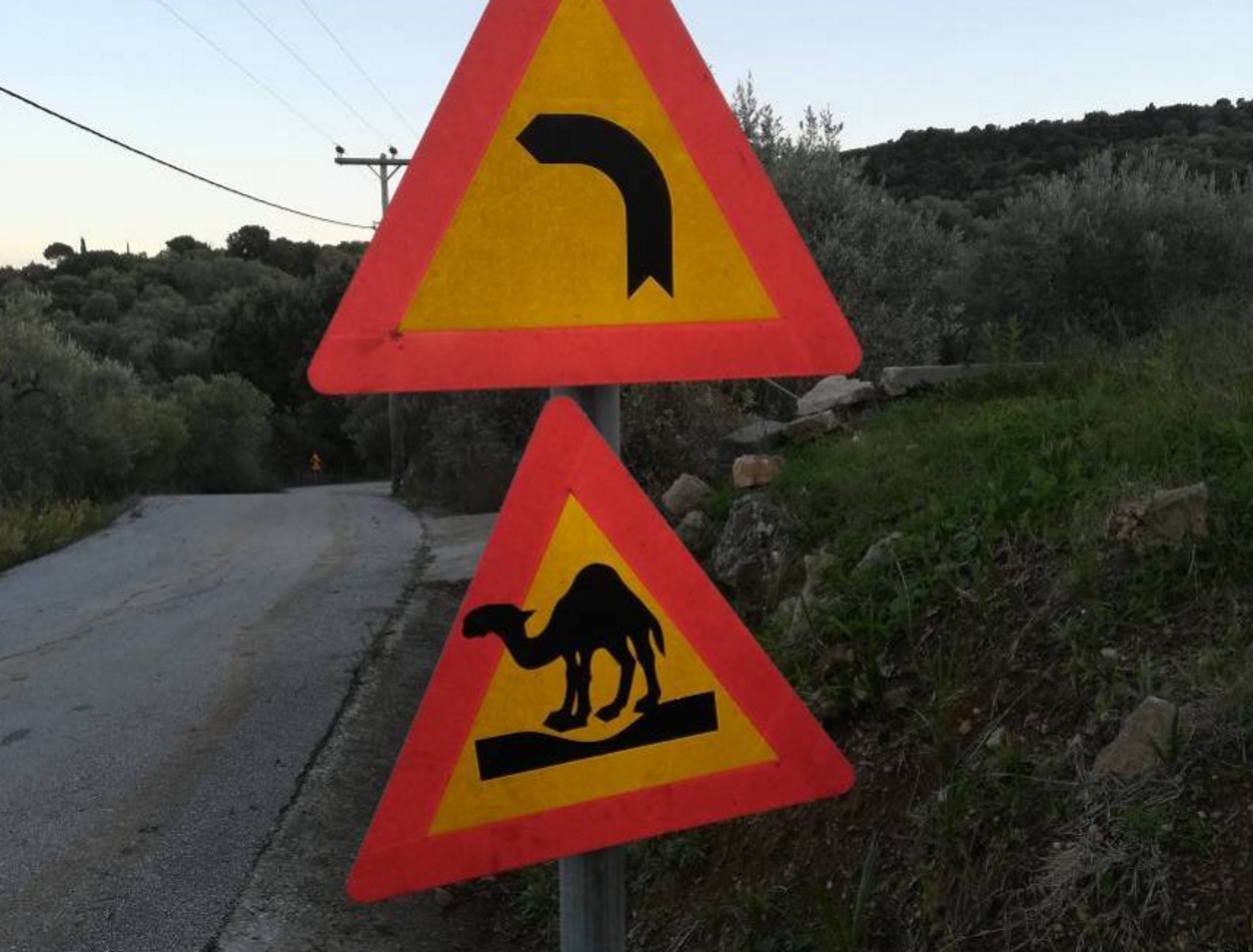 Στο Πήλιο θα συναντήσεις πινακίδες για… καμήλες και καγκουρό – Τι συνέβη; (φώτο)