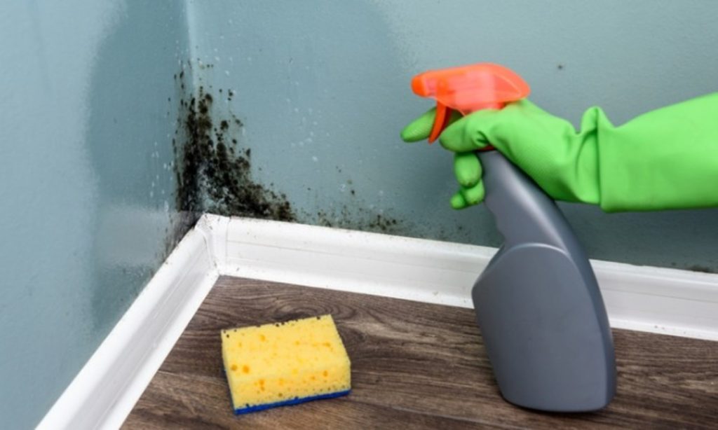 Όταν η μούχλα μπορεί να σε αρρωστήσει