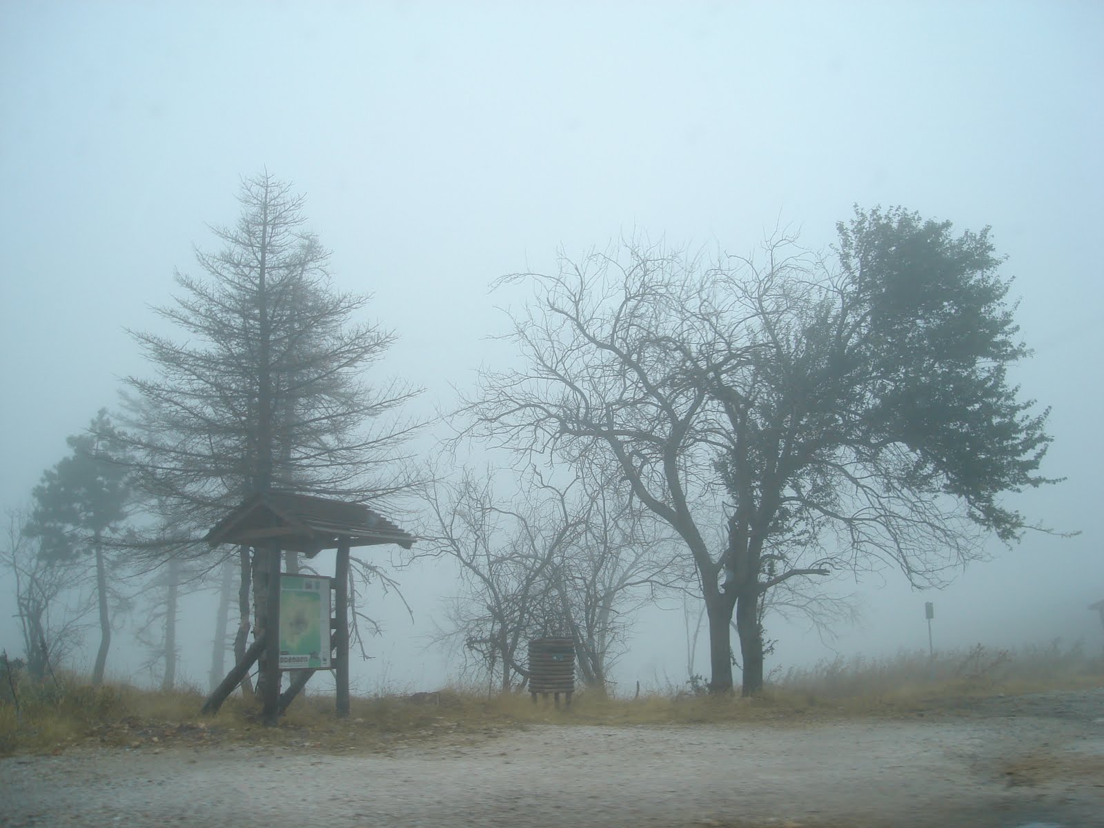 Μαγικό τοπίο δημιούργησε η ομίχλη στην Πάρνηθα (φωτό)