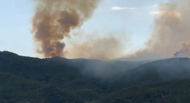 Έξι νεκροί και 15 τραυματίες από φωτιά σε αγωγό πετρελαίου στην Αίγυπτο