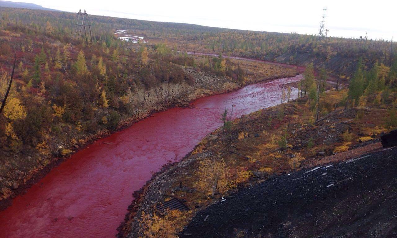Τα ποτάμια στη Νότια Κορέα γέμισαν με αίμα – Τι συνέβη;