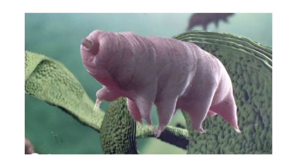 Μεταλλαγμένοι άνθρωποι θα ζουν στον πλανήτη Άρη (βίντεο)