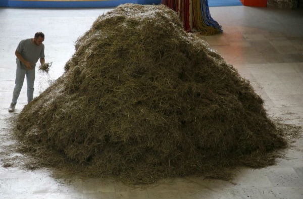 Ο άνδρας που βρήκε βελόνα… στα άχυρα – Δεν φαντάζεστε πόση ώρα του πήρε (βίντεο)