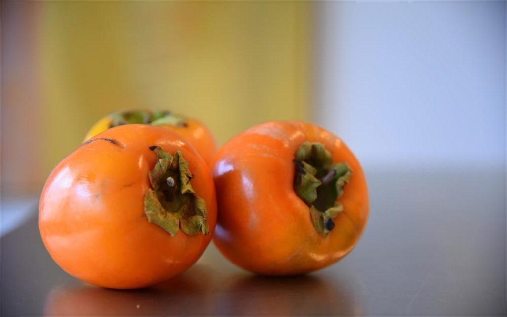 Τι είναι ο λωτός και ποιες οι ιδιότητες του;