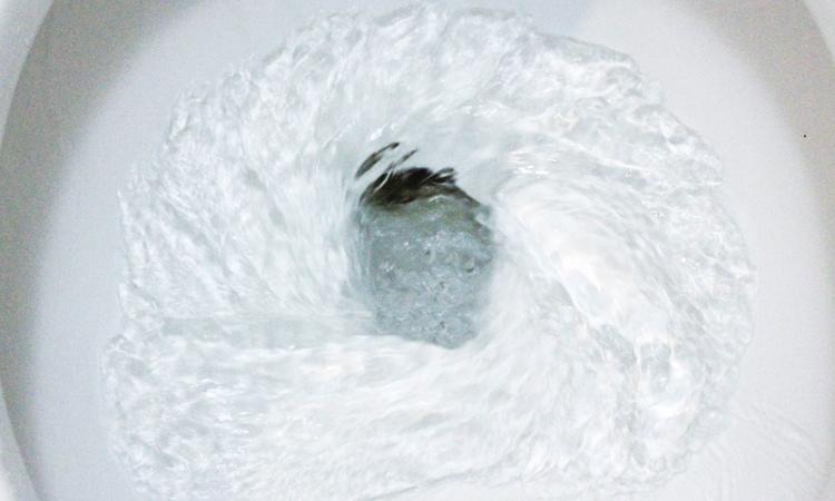 Το νερό από το καζανάκι της τουαλέτας τρέχει ανάποδα στο νότιο ημισφαίριο; (φωτο)