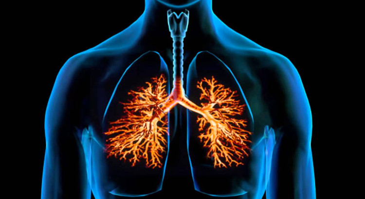 Βρογχίτιδα: Ποια είναι τα πρώιμα συμπτώματα; – Πώς θα το αντιμετωπίσετε;