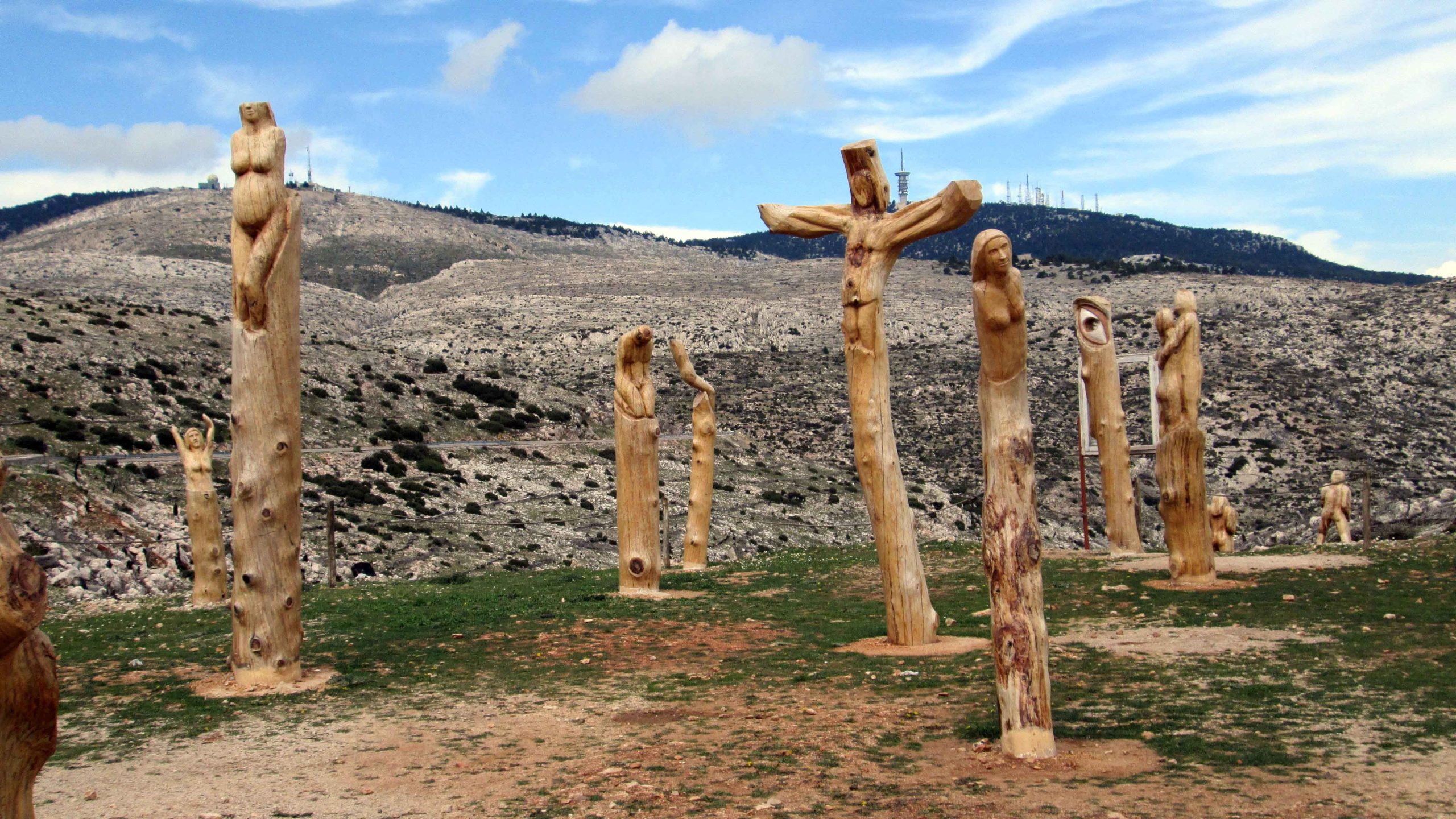 «Πάρκο ψυχών»: Το τρομακτικό υπαίθριο μουσείο απέναντι από το Σανατόριο με τους νεκρούς κορμούς δέντρων (βίντεο)