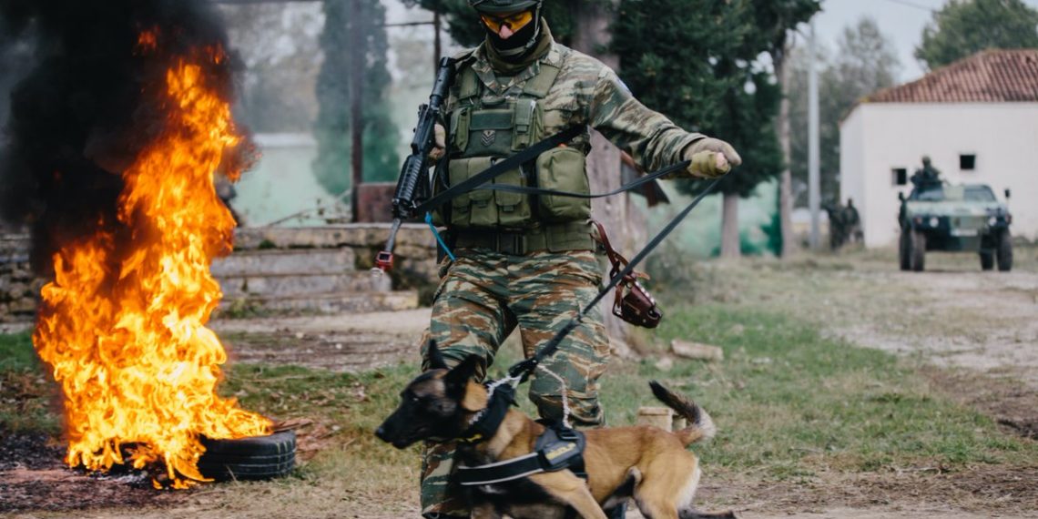 Τα σκυλιά των Ενόπλων Δυνάμεων δίνουν τη δική τους βοήθεια στους Αμερικανούς αλεξιπτωτιστές (φώτο-βίντεο)